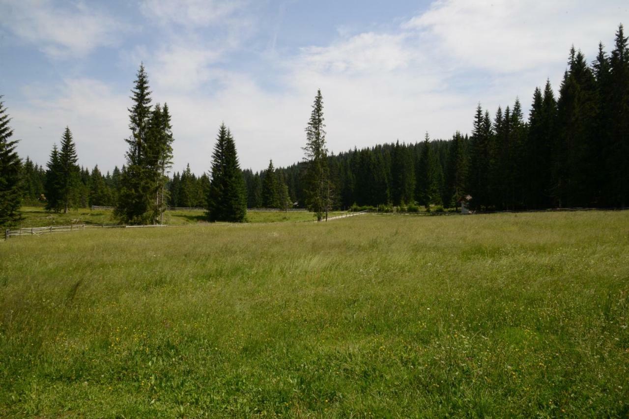 Pocitniska Hisa Jurcek Pokljuka Villa Goreljek Exteriör bild