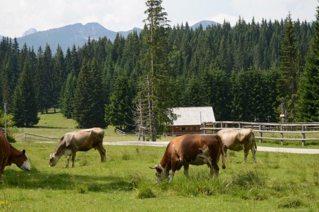 Pocitniska Hisa Jurcek Pokljuka Villa Goreljek Exteriör bild